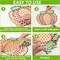 6 Pcs Fall Craft DIY Diamond Suncatcher Pumpkin Shape Art Crafts Suncatcher Kits for Kids, Fall Catcher Diamond Painting Kits for Kids Girls Boys